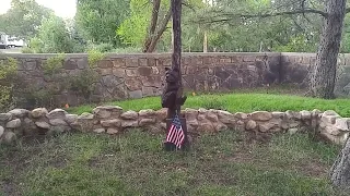 SMOKEY BEAR'S GRAVE...CAPITAN NEW MEXICO