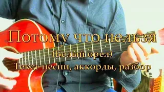 Потому что нельзя. Текст, аккорды, разбор