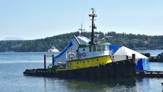 PACIFIC Tugboat Discovery Passage Tugboats