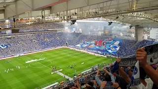 F.C. Porto - Feirense (2-1); Ambiente inicial no Estádio do Dragão. [06/05/2018]