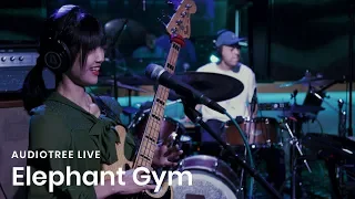 Elephant Gym on Audiotree Live (Full Session)