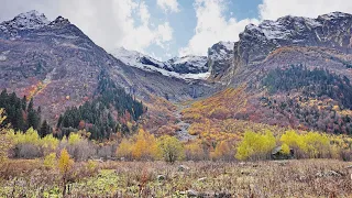 Hike in Dombay-Ulgen Gorge - 4K 60fps - Mountain Trail - Scenic Relaxing Walking Tour