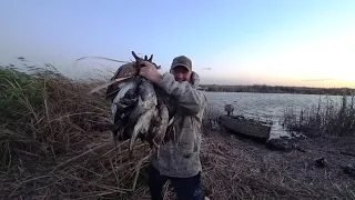 Царская охота. Стволы не успевали остывать.