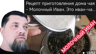 Молочный Иван чай. Рецепт.