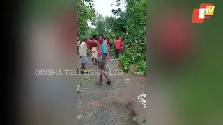 Nor’wester rain wreaks havoc in Odisha’s Jaleswar