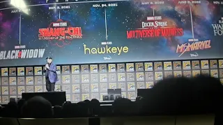 Marvel Comic Con Panel 2022