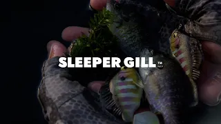 Bluegill Swimbait Fishing with the Sleeper Gill