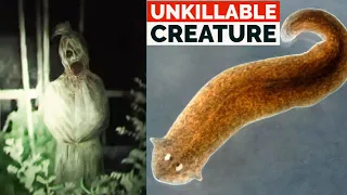 Unexplained Things Caught On Camera 2021 | Strange Creatures | UNSEEN | NEW