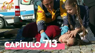 Elif Cuarta Temporada Capítulo 713 | Elif Capítulo 713