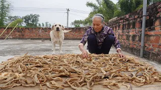 農村傳統蘿蔔幹，耗時4個月，鹹香爽脆，放3年都不會壞Grandma shares ways to preserve radishes and Chinese recipes｜广西 美食 ｜玉林阿婆