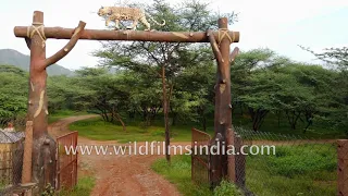 Jeep safari at Jhalana Leopard Reserve | Jaipur