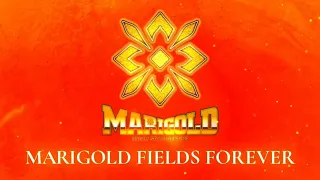 Marigold Fields Forever Review