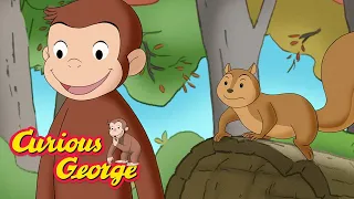 Curious George 🐵 George and Jumpy Solve the Nuts Case 🐵 Kids Cartoon 🐵 Kids Movies