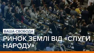 Ринок землі від «Слуги народу»: що ухвалила Рада? | Ваша Свобода