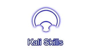 Dragon Nest Kali Skills