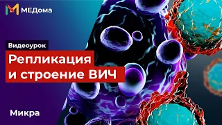 Репликация вич / Жизненный цикл вируса иммунодефицита человека (ВИЧ) / микробиология / USMLE step 1