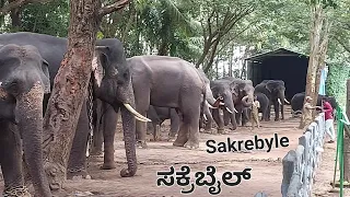 ಸಕ್ರೆಬೈಲು ಆನೆ ಶಿಬಿರ, ಶಿವಮೊಗ್ಗ | Sakrebailu Elephant Camp, Shivamogga