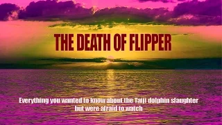 THE DEATH OF FLIPPER