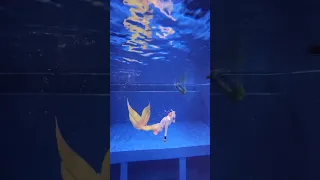 Mermaid silicon 11kg under water!! Awmazing❤️