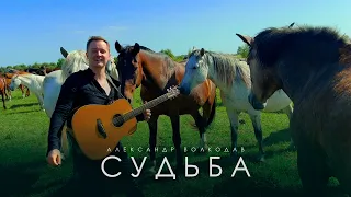 Александр Волкодав - Судьба (премьера 2023)
