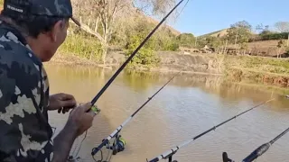 A isca que eu uso pra pescar traíras, também  serve pra pescar tilapias.