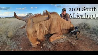 2021 Plains Game hunt Kimberley S Africa.  12 species, 10 days; Wildebeest, Gemsbok, Sable and more!