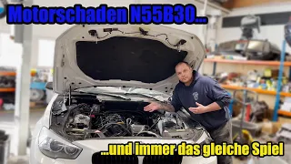 BMW N55B30 Motorschaden! wie kann das immer Passieren? l Demontage l Neuaufbau