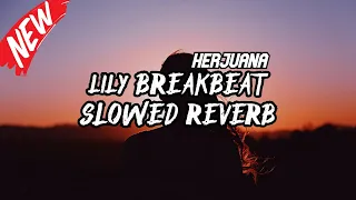 DJ LILY BREAKBEAT SLOWED REVERB TERBARU 2024