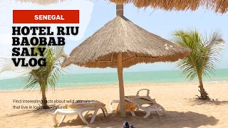 HOTEL RIU BAOBAB TOUR AND SALY SENEGAL VLOG