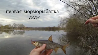 весенняя плотва на мормышку