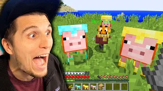 Was passiert, wenn Minecraft Schweine plötzlich eine Diamant-Rüstung tragen?