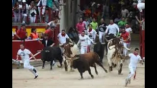 Видео самого безумного шоу - энсьерро ( бег разъяренных быков) в Испании) EP1 HD 1080P
