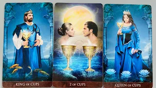 WHAT ARE THIS PERSON'S THOUGHTS/FEELINGS/INTENTIONS TOWARDS YOU? TIMELESS LOVE TAROT (RELATIONSHIPS)