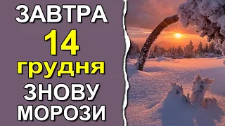 ПОГОДА НА ЗАВТРА: 14 ГРУДНЯ 2022 | Точна погода на день в Україні