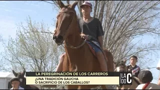 A caballo hasta Luján: ¿Tradición o maltrato animal?