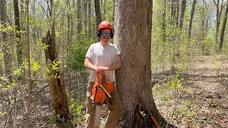 Explaining Some of My Veneer White Oak Cutting Technique!! #46