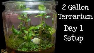 Building a Moss Vivarium (for Isopods & Millipedes)