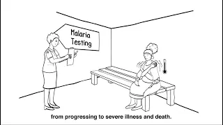 Malaria diagnosis: Addressing the issue of HRP2 gene deletions (UPDATED VERSION)