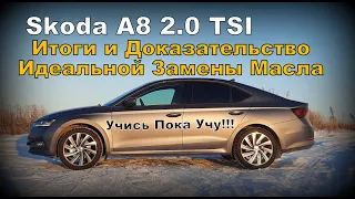 Skoda: Итоги и Доказательства Идеальной Замены Масла (2023)