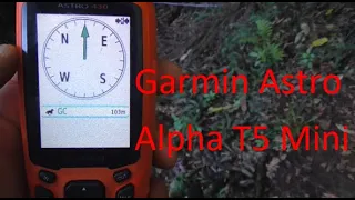 Garmin Astro 430 and Alpha T5 Mini