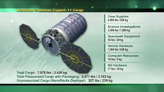 Expedition 59 Northrop Grumman Cygnus 11 Solar Array Deployment April 17, 2019 (full coverage)