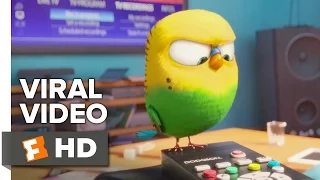 The Secret Life of Pets VIRAL VIDEO - Meet Sweet Pea (2016) - Animated Movie HD