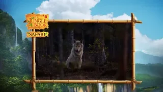 The Jungle Book Safari - Episode 23  -  Competition