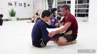 Rafael Mendes vs Jake Shields | NOGI Sparring Session | Art of Jiu Jitsu Academy