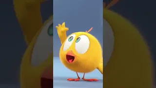 HEY! #hey #funnyvideos #cartoon #cute #chicky #whereschicky