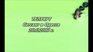 Тулукут. Сатсанг в Одессе 20.11.16 г.