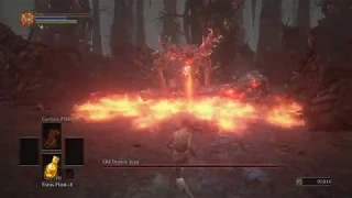 SL1 NG+7 Fists only Old Demon King