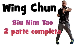 Aprende Wing Chun desde cero "1ª Forma" Siu Nim Tao 2º parte🐉Técnicas🐉