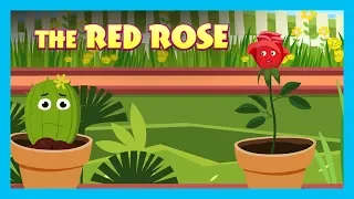 THE RED ROSE | ENGLISH ANIMATED STORIES FOR KIDS | TRADITIONAL STORY | T-SERIES