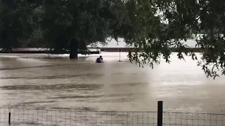 Man rescues baby goat from rising floodwaters